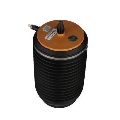 LUFTFEDER FAHRWERK Arnott A3945 60