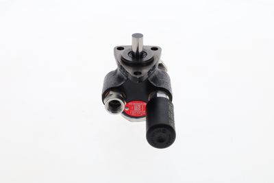 BOSCH Kraftstoffpumpe