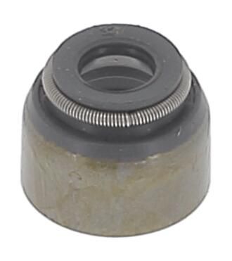 DICHTRING VENTILSCHAFT