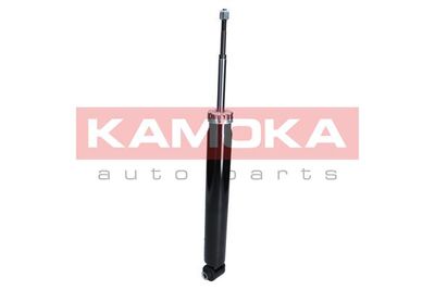 Shock Absorber 2000961