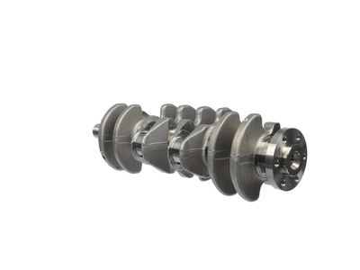 ARBORE COTIT ET ENGINETEAM HK0193 21