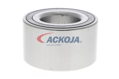 SET RULMENT ROATA ACKOJA A320209 57