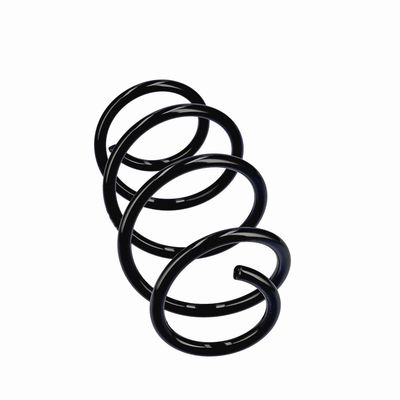 ARC SPIRAL EIBACH R20796 12