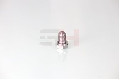 SURUB DE GOLIRE BAIA DE ULEI GH GH399900 30
