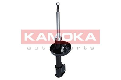 Shock Absorber 2000489