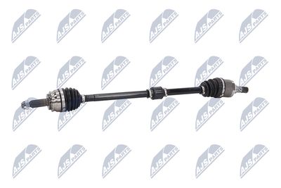 PLANETARA NTY NPWCH062 4