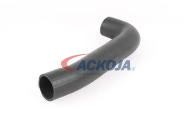 FURTUN EAR SUPRAALIMENTARE ACKOJA A379602 28