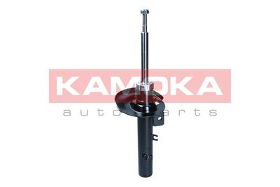 Shock Absorber 2001281