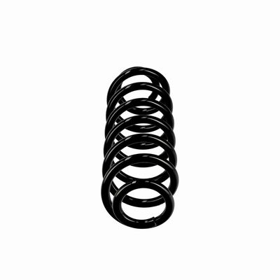 ARC SPIRAL EIBACH R10862 1