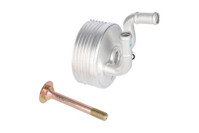 RADIATOR ULEI ULEI MOTOR BIRTH 80138 11