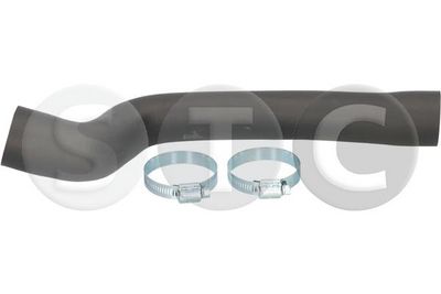 FURTUN EAR SUPRAALIMENTARE