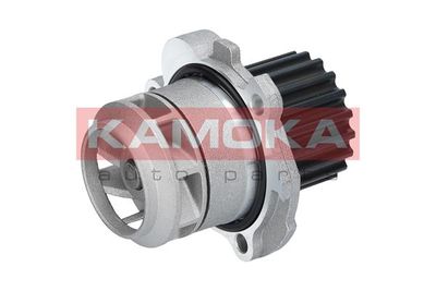 Water Pump, engine cooling T0025
