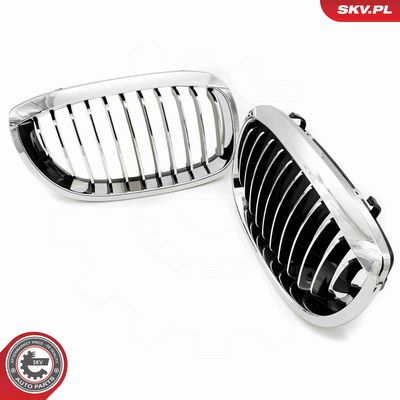 GRILA RADIATOR ESEN SKV 66SKV070 3