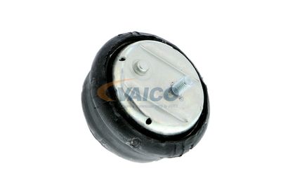 SUPORT MOTOR VAICO V2010261 9