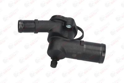 FLANSA LICHID RACIRE BIRTH 8696 2