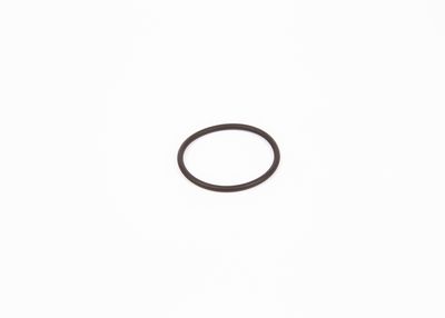 Rubber Ring F 00R 0P0 166