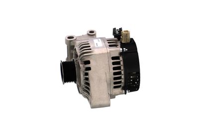 GENERATOR / ALTERNATOR REMANTE 011003000334R 10