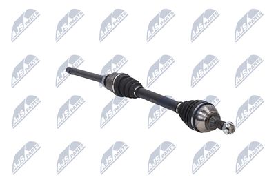 PLANETARA NTY NPWCT107 11