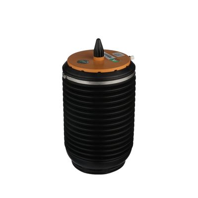 LUFTFEDER FAHRWERK Arnott A3892 44