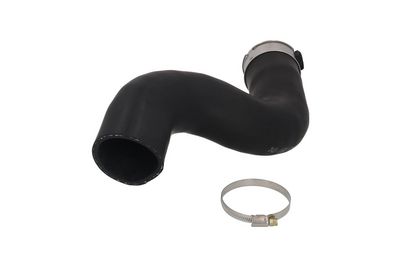 FURTUN EAR SUPRAALIMENTARE