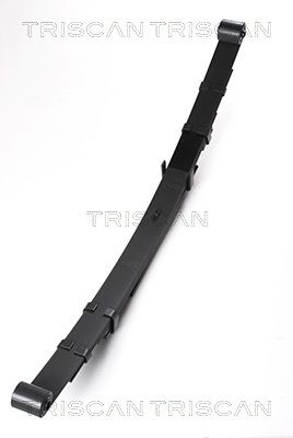 TRISCAN Federnpaket