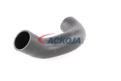 FURTUN EAR SUPRAALIMENTARE ACKOJA A380298 28