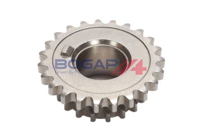 ROATA DINTATA ARBORE COTIT