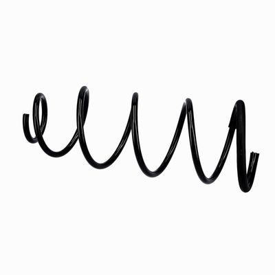 ARC SPIRAL EIBACH R10092 20