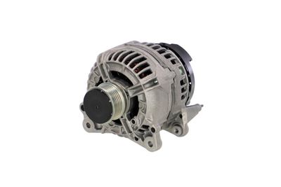 GENERATOR / ALTERNATOR REMANTE 011003000549R 63