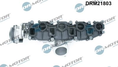 Intake Manifold Module DRM21803