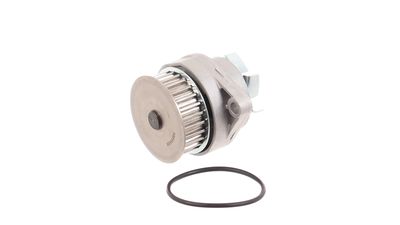 WASSERPUMPE MOTORKüHLUNG SKF VKPC81210 33