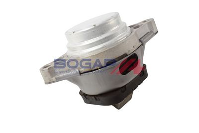 BOGAP Variklio montavimas
