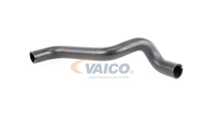 KüHLERSCHLAUCH VAICO V240868 12