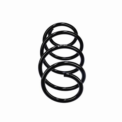 ARC SPIRAL EIBACH R22921 1