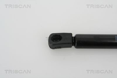 Amortizor portbagaj TRISCAN 8710 21205