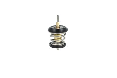 TERMOSTAT LICHID RACIRE NRF 725250 5