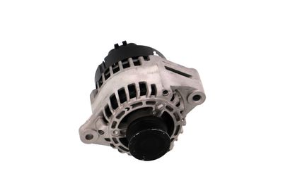 GENERATOR / ALTERNATOR REMANTE 011003000058R 59