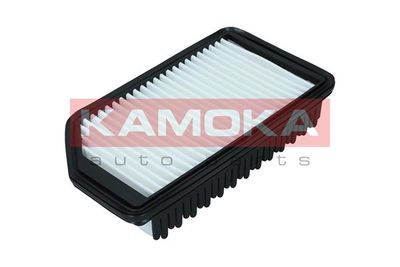 Air Filter F246901