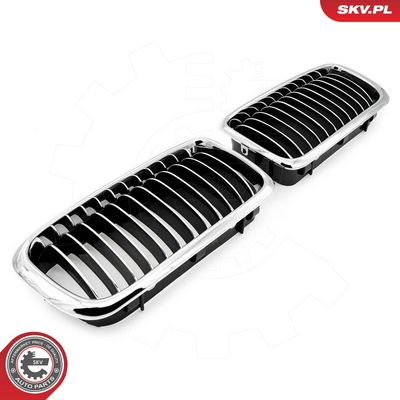 GRILA RADIATOR ESEN SKV 66SKV215 1