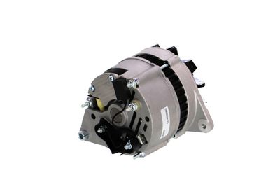 GENERATOR / ALTERNATOR REMANTE 011003000066R 33