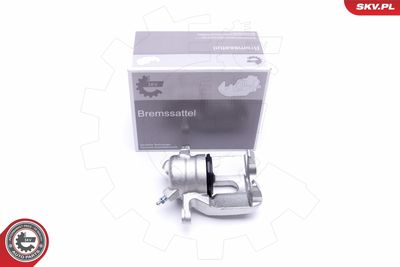 Brake Caliper 50SKV491