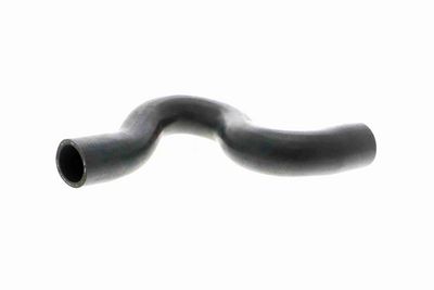 FURTUN RADIATOR VAICO V220513 1