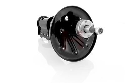 AMORTIZOR GH GH323212H 22