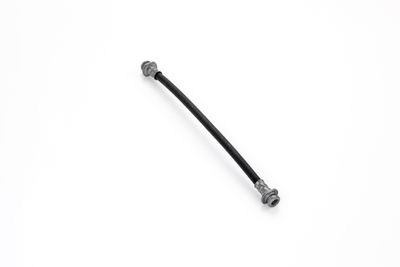 FURTUN FRANA ATE 24528402833 5