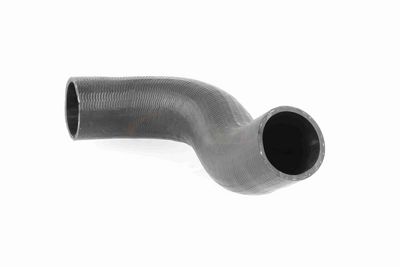 FURTUN EAR SUPRAALIMENTARE ACKOJA A380298 2