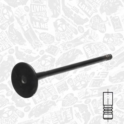 SUPAPA EVACUARE ET ENGINETEAM VE0141 1