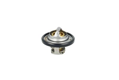 TERMOSTAT LICHID RACIRE NRF 725544 32