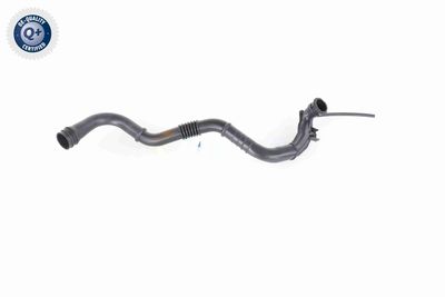 LADELUFTSCHLAUCH VAICO V460742 8