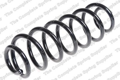 Suspension Spring 61063