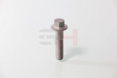 SURUB CAPAT DE AX GH GH392549 44